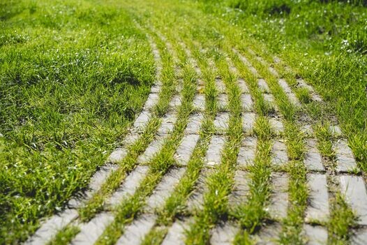 Betonová zatravňovací dlažba Rainstone