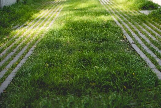 Betonová zatravňovací dlažba Rainstone
