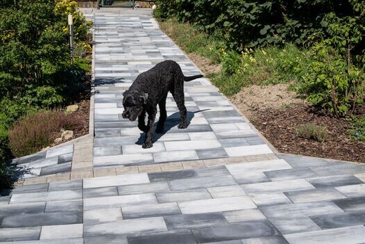 Betonová dlažba Fontána